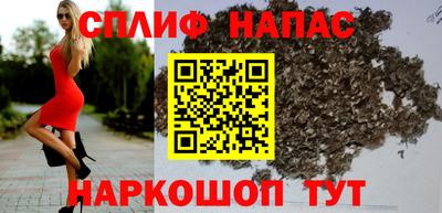 дмт Будённовск