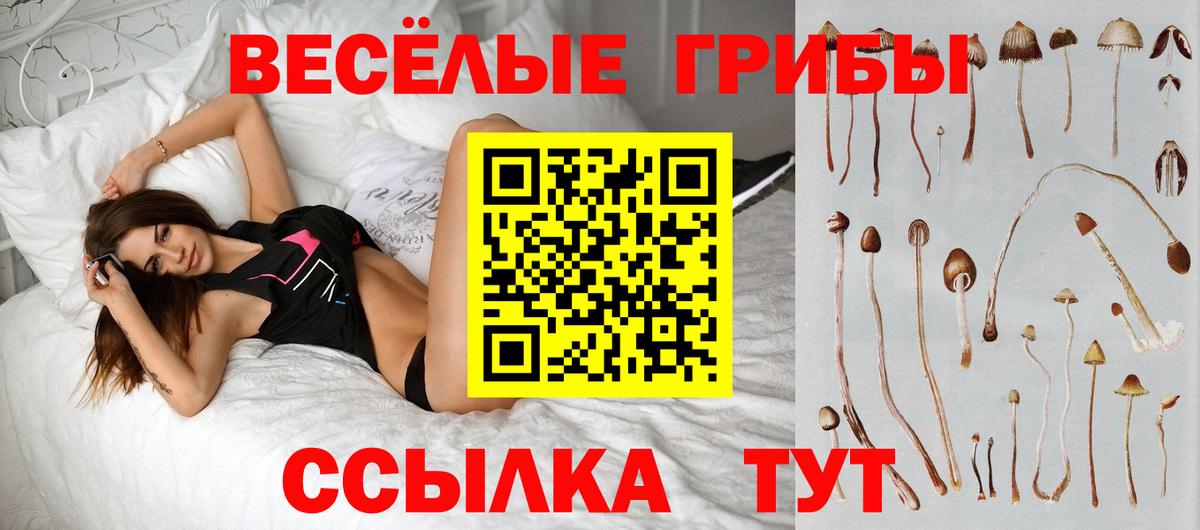 Ялуторовск  Галлюциногенные грибы ЛСД  Вход с VPN 