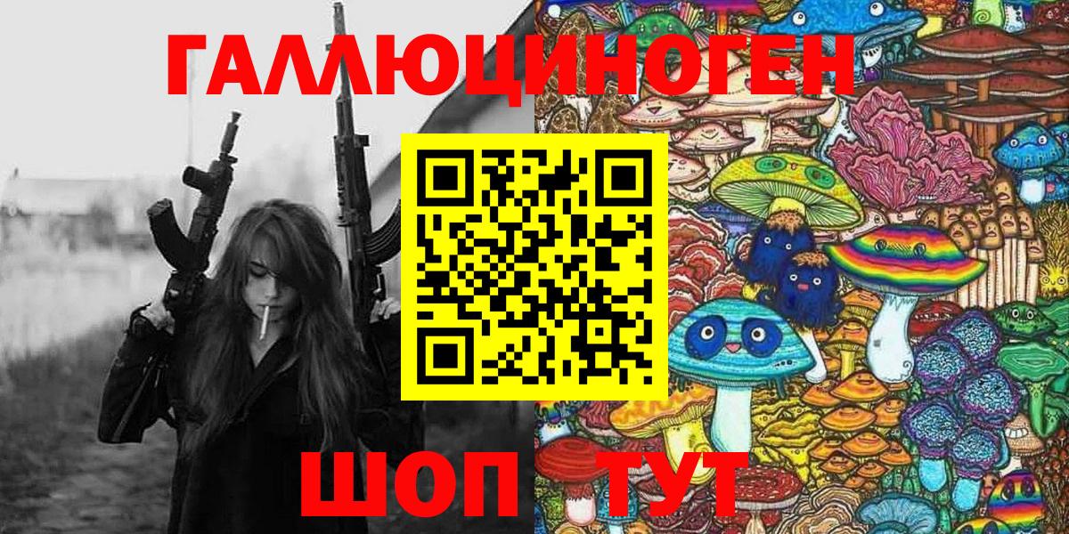 Галлюциногенные грибы Psilocybine cubensis Ялуторовск